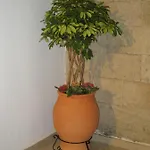 Eleftheria Lindian Ii