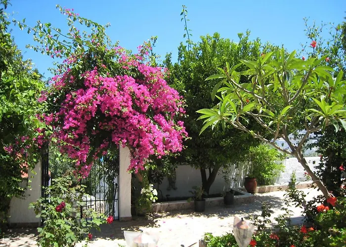 Eleftheria Lindian Ii 4* Líndos