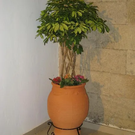 Eleftheria Lindian Ii