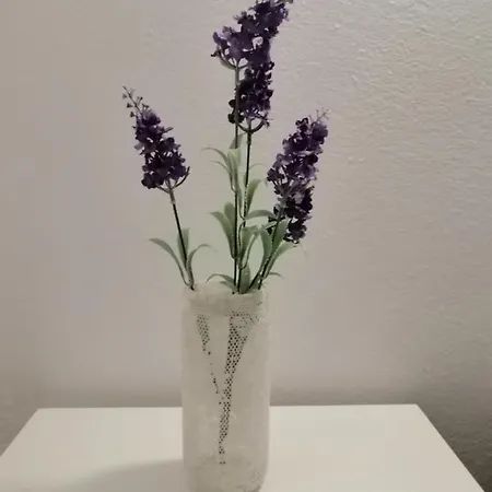 Eleftheria Lindian Ii 公寓式酒店 林都斯