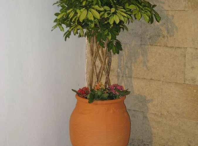 Eleftheria Lindian Ii